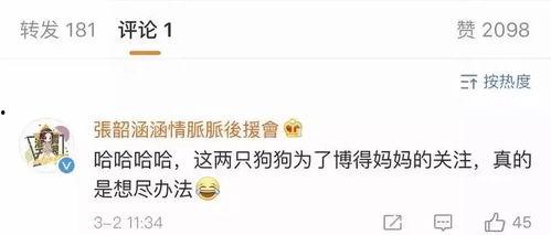 娱乐网吃瓜名单,最新吃瓜名单曝光，明星动态大揭秘！